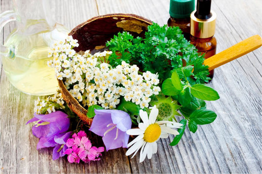 Small basket of herbal plants, water jar, and pipette medicine containers symbolizing natural remedies.