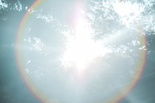 bright rays of sunlight in a woodland forest with the light coming through the trees