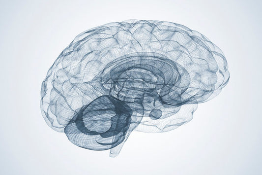 grey transparent brain health