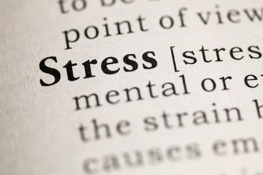 the word stress in a dictionary page, in bold and zoomed in