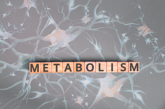 metabolism in wooden cubes with a grey cellular background