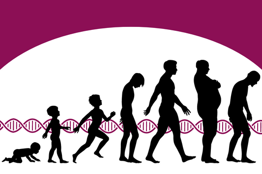 graphic showing the aging process and DNA in the background