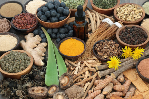 adaptogens, aloe vera, blueberries, ginger, mushrooms, turmeric, table of natural ingredients, reduce stress naturally