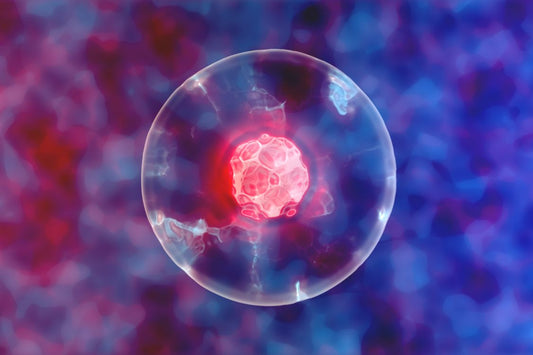 A cell generating cellular energy within its nucleus, showcasing the intricate biological processes involved in blue and pink