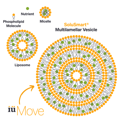 SoluSmart® high absorption technology multilamellar vesicle encapsulating plant phytochemical compounds, in comparison to Liposome technology inside iuMove joint health supplement drink